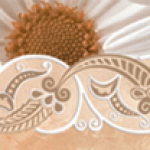 Gạch 05.070300.09302